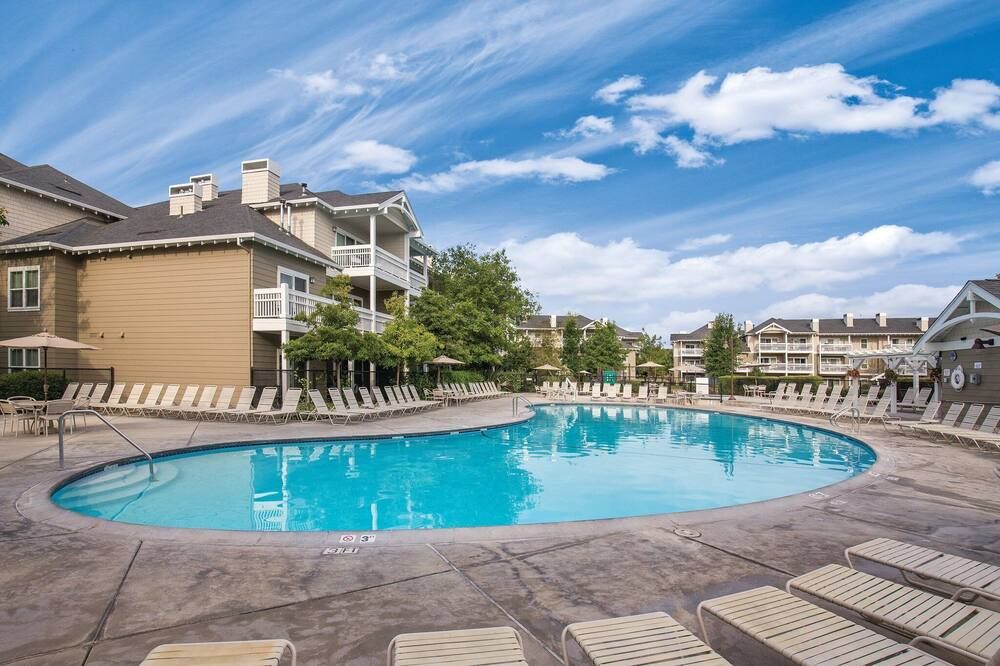 Gorgeous Resort in California Wine Country, Windsor! - Windsor - Pool
