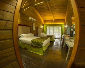 Baldi Hot Springs Hotel & Spa - La Fortuna - Quarto
