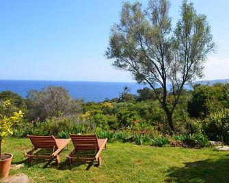 Charming Mini Villa With Sea View - Sari-Solenzara - Patio