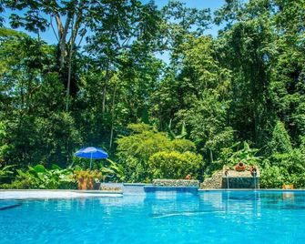 The Goddess Garden Eco-Resort - Cahuita - Piscine