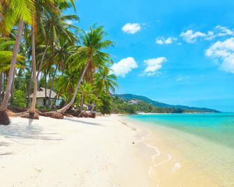 Chytalay Palace Hotel - Ko Samui - Beach