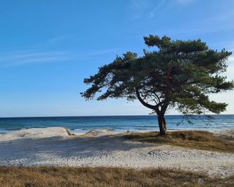 Kvarnviks Gård - Lilla Beddinge - Playa