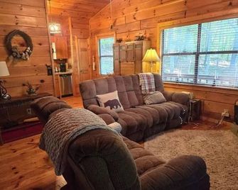 Triple Nickel Cabin - Blue Ridge - Olohuone