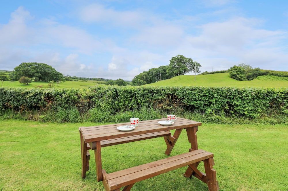 Oak View - Llandovery - Patio