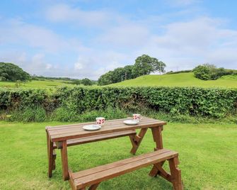 Oak View - Llandovery - Patio