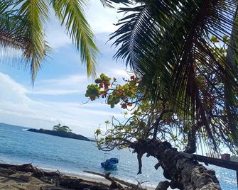 Ceiba Ganadito - Agujitas de Drake