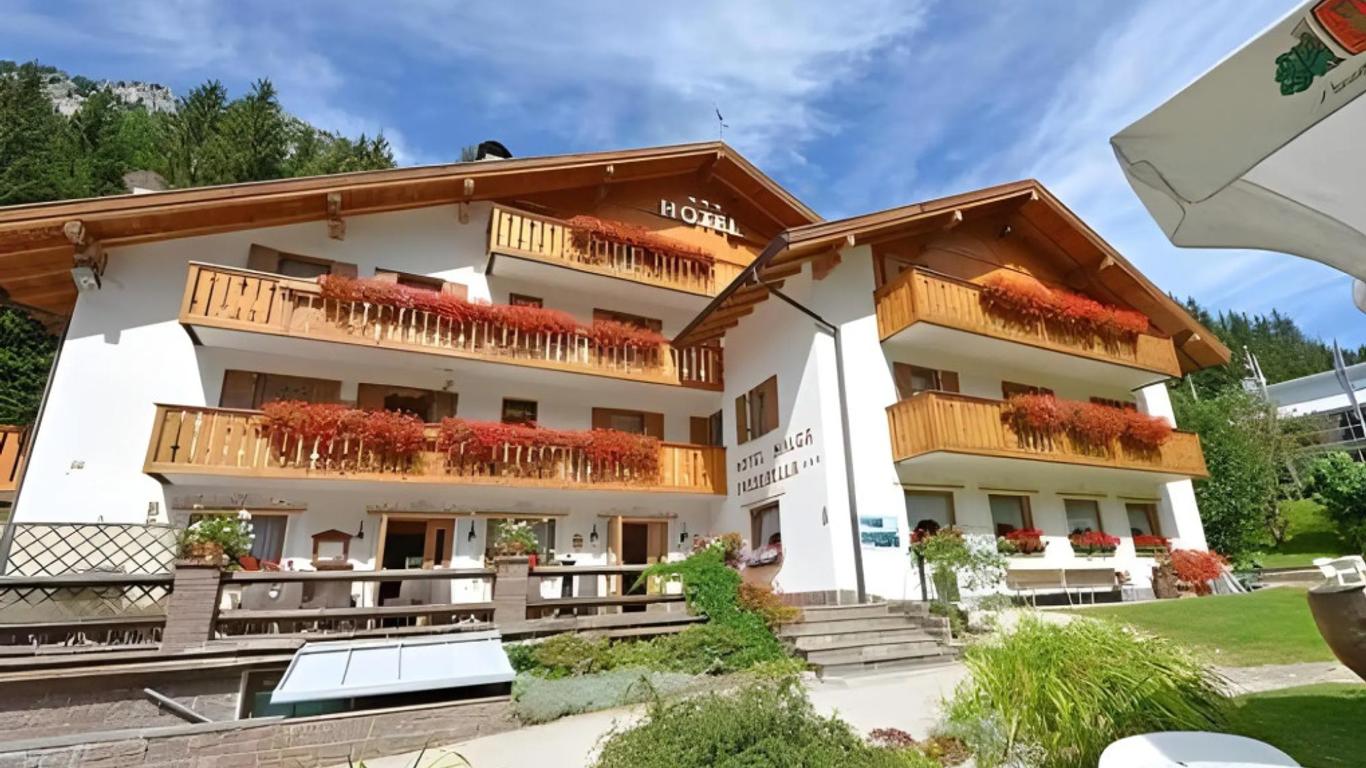 هوتل مالجا باسيرلا