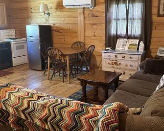 Lyman Run Cabin - 2 miles from Lyman Run State Park - on ATV trails - Galeton - Sala de estar