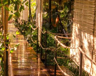 Hotel Noga - Zipolite