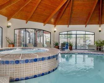Best Western Plus Swiss Chalet Hotel & Suites - Pecos - Басейн