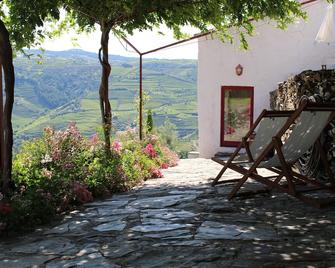 Country house Quinta da Salgueira - Alijo - Patio