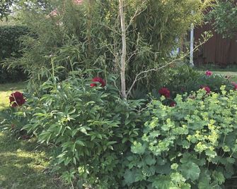 Charming and spacious villa near Lidköping - Lidköping - Venkovní prostory