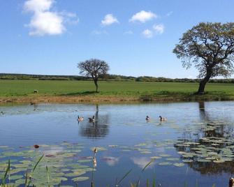 The Grainary Farm Stay - Scarborough - Outdoors view