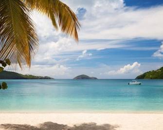E·ly·sian Beach Front Resort - Double Suite 2 - Saint Thomas Island - Plaża