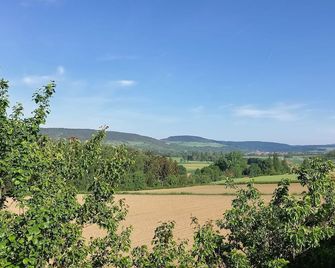 Vacation apartment directly at the winegrower - Tauberbischofsheim - Außenansicht