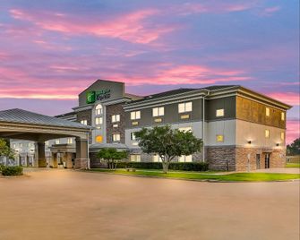 Holiday Inn Express Palestine By IHG - Palestine - Budova