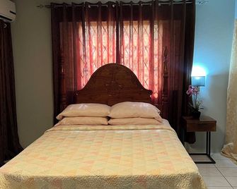 BridgeView Apartment 20 minutes from Hellshire Beach - Portmore - Bedroom