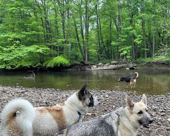 Cozy cabin in Slippery Rock with 100 acres of woods and very close to wolf Creek - Slippery Rock