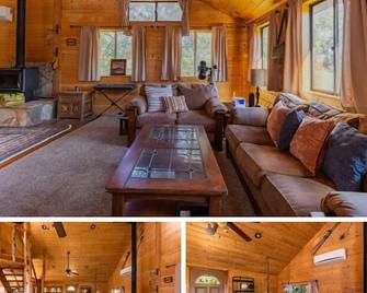 Almost Heaven - Palomar Mountain Getaway cabin - Palomar Mountain - Living room