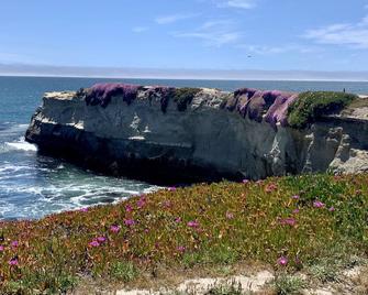 Villanola! Your Santa Cruz Mnts Abode Under Redwoods, No Crowds & All Adventure! - Los Gatos
