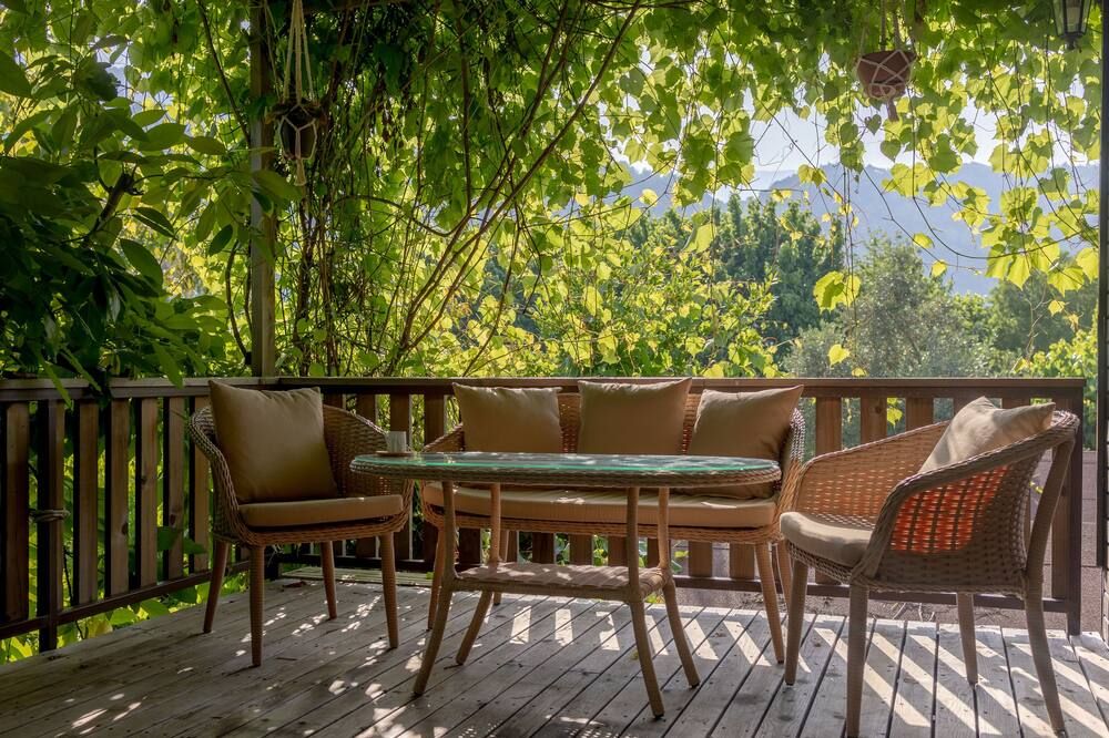 كاريتا كاريتا بينشن