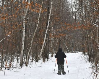 Peace and quiet in the country - Staples - Servicio de la propiedad