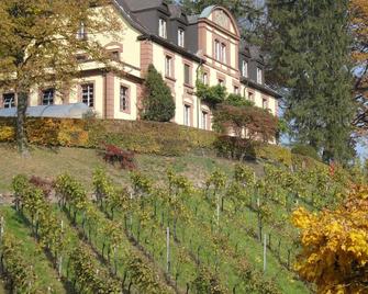 Neveu Winery Josephsberg 2 - Durbach - Gebäude