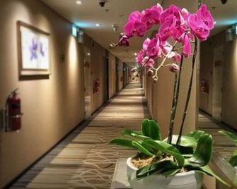Ambassador Transit Hotel - Terminal 3 - Singapur - Passadís
