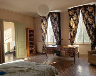 Large family house in a 19th century Hôtel Particulier - Donzère