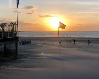 Vacation home with TOP equipment, only 8 minutes walk to the beach, dogs allowed - Renesse - Plage