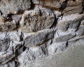 Escambia Lakes Fish Camp, Goat Refuge, Duck Utopia, Farms on 75 wild acres - Flomaton