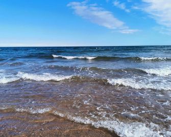 Down The Garden Path Vintage Caravan B&B , Dartmoor - Newton Abbot - Παραλία