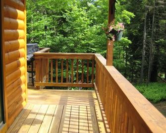 Escape & Enjoy a Cozy 3-bedroom cabin in wonderful Old Forge / Winter Season Ava - Old Forge - Balkon