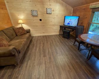 Cruso Creek(Villa 2) - Creek, Hot Tub, Fireplace, Near Asheville, View, Wifi - Canton - Sala de estar