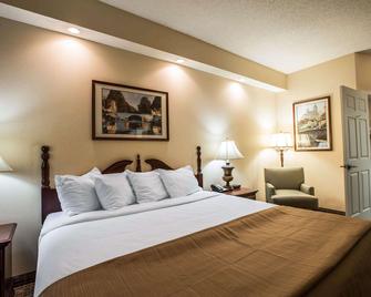 Quality Inn Kingsport - Kingsport - Bedroom