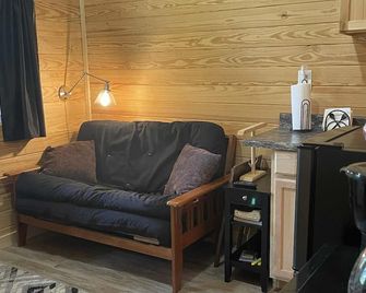 Cozy Cabin in the woods near charming Hermann - Hermann - Living room