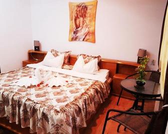 Pensiunea Red Rose Apartments - Timisoara - Habitación