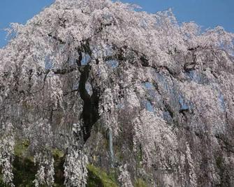 Shitajima Onsen Senyukan - Gero - Вигляд зовні