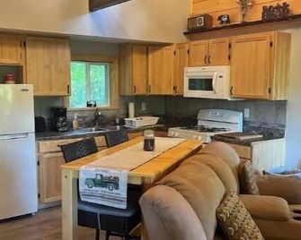 Livingston cabin - Dansville - Kitchen
