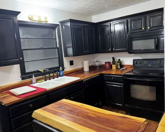 Centralized Modern Home in Johnson City - Johnson City - Kitchen