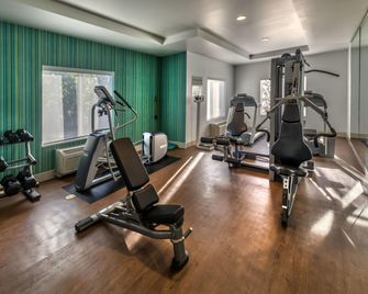 Holiday Inn Express & Suites Reno Airport By IHG - Reno - Gym