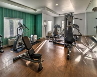 Holiday Inn Express & Suites Reno Airport By IHG - Reno - Salle de sport