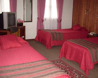 Hotel Mercurio - Punta Arenas - Bedroom