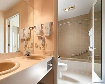 Econo Lodge Inn & Suites Vernal near Dinosaur Monument - Vernal - Bagno