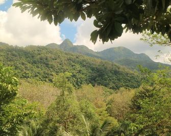Island Lodge - Ko Chang - Outdoor view