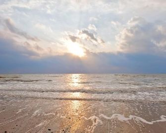 펜션 아침바다 - 안면도 - 해변