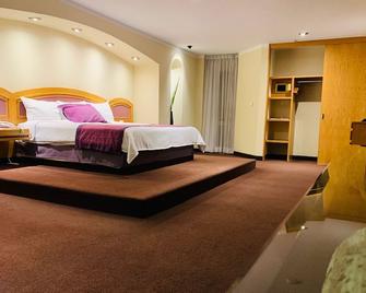ホテル ミラージュ - Santiago de Querétaro - 寝室