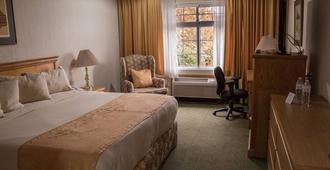 Hotel Sicomoro - Chihuahua - Bedroom