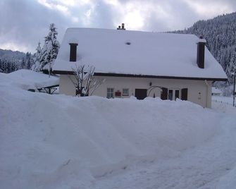 House on the ground floor in an old farm Vosges, pets OK - Gérardmer - Building