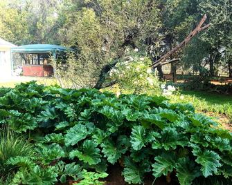 Magalies bnb - Bloemfontein - Näkymät ulkona